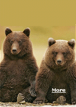 Because of the 2025 government shutdown, national parks, which actually make money, not cost it, including Yellowstone and Grand Teton, are now facing a jumbled scenario. When they shut down in 2013 under President Obama, the parks locked their gates to the public. In 2018-19, parks remained open but with little or no staff, including no one taking fees at entrance gates, leading ranger tours, providing for public safety or protecting landmarks and resources. 